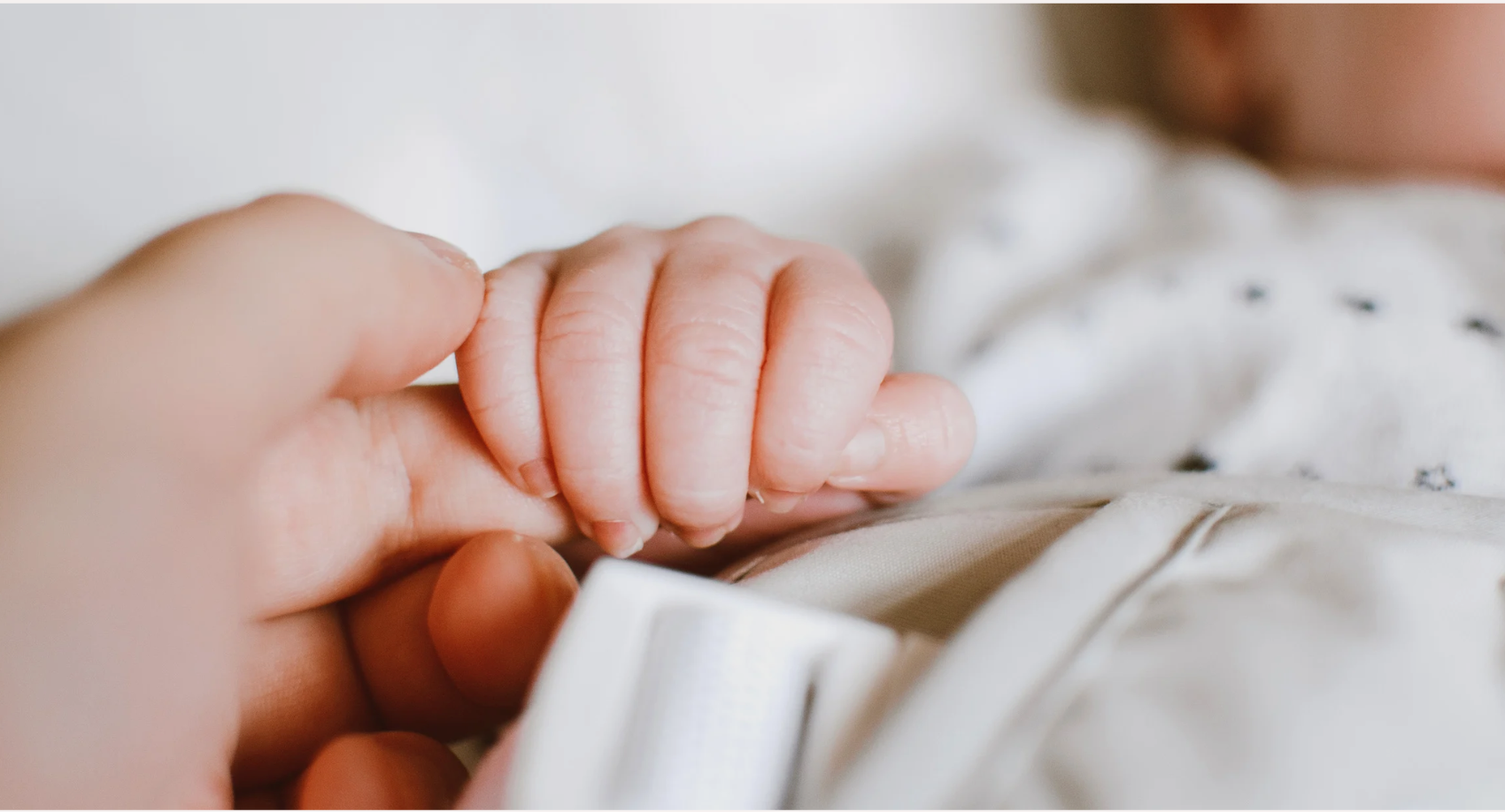 main d'un bébé dans la main du parent